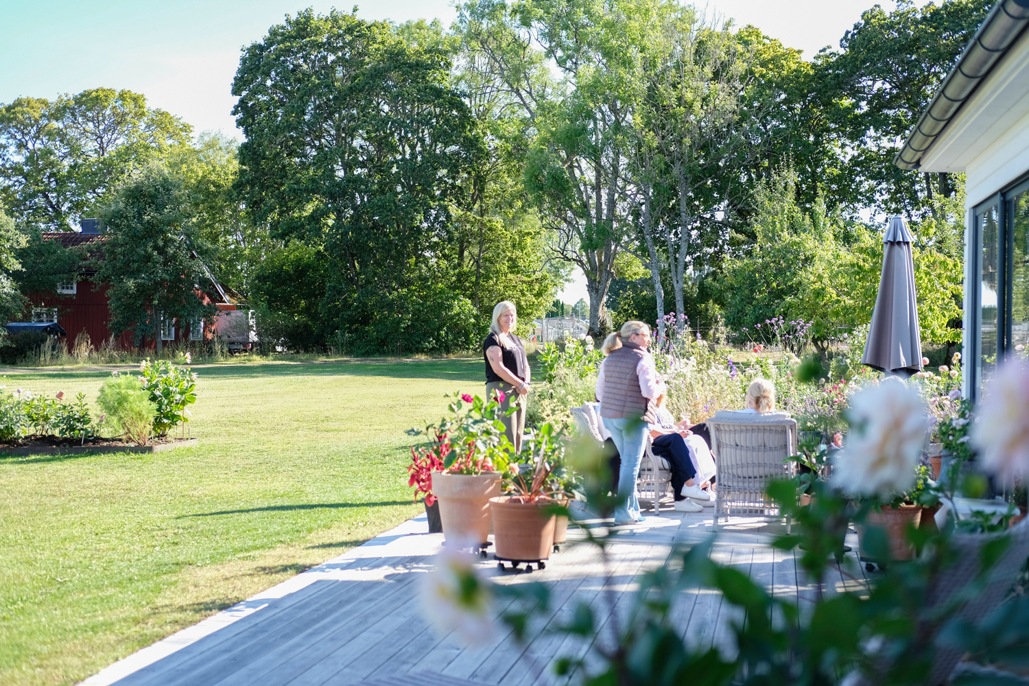 Blommor-vin-Hemma-hos-Linne-40 Evenemang Hemma hos Linné – Blommor och vin, vinprovning och trädgårdsvandring, blomstervandring, blomsterarrangeman, bind din egen bukett