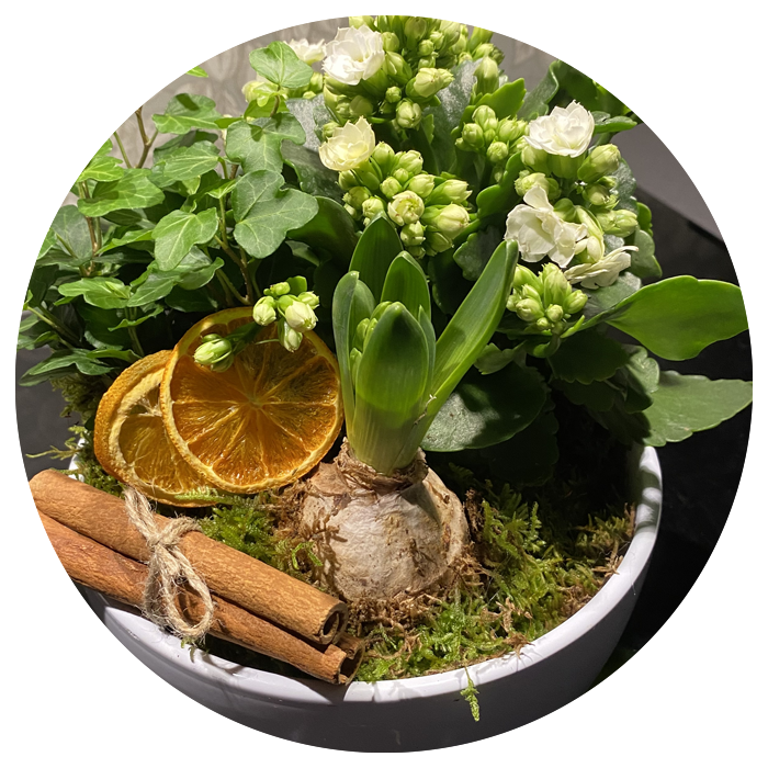 Julplantering evenemang med Hemma hos Linné